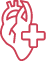 noun-cardiology